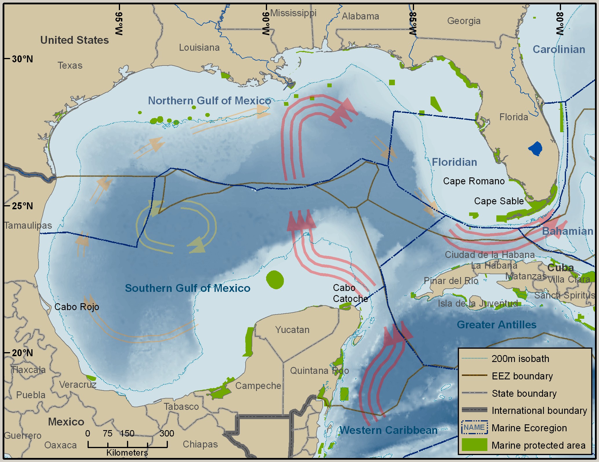 (Gulf of Mexico)